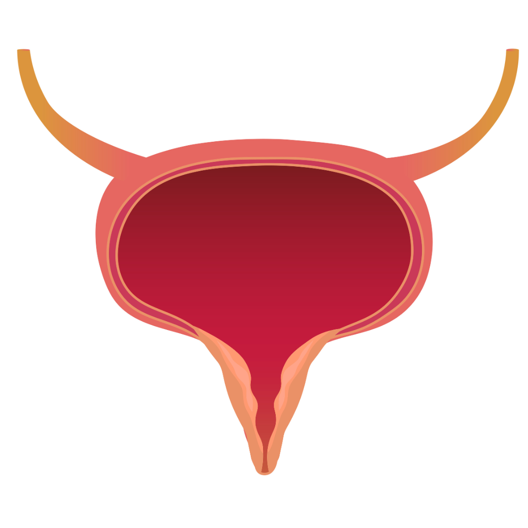 Incomplete bladder emptying