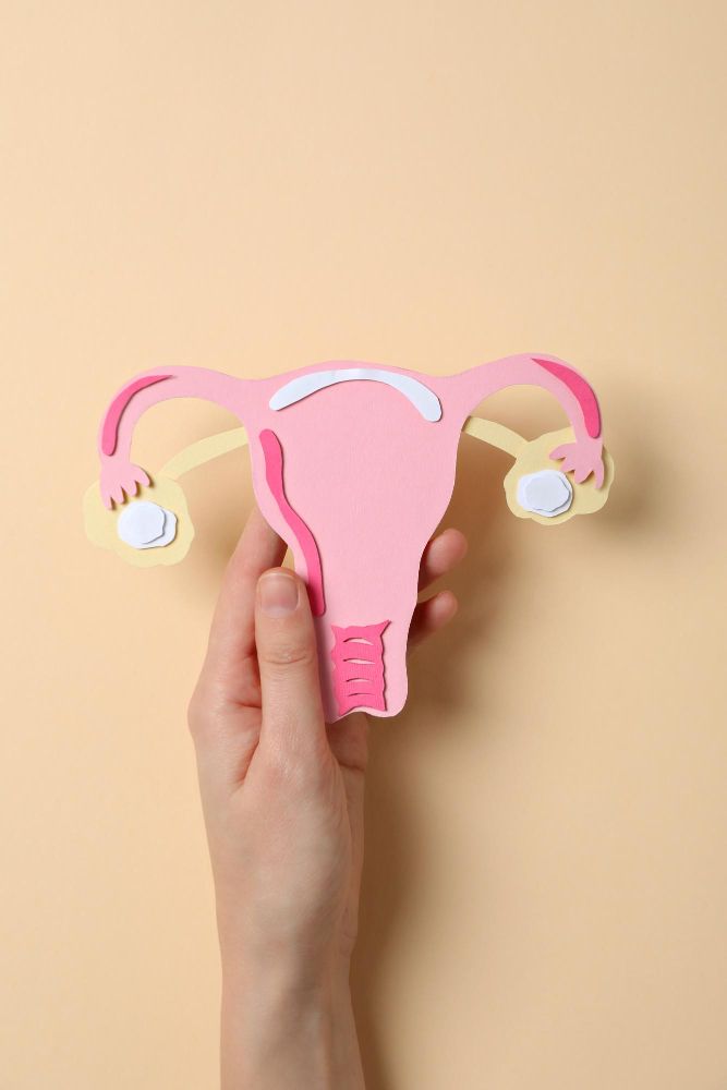 Gynaecology & Obstetrics