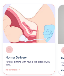 Normal Vaginal Delivery